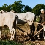 A meeting with farmers that changed Nehru